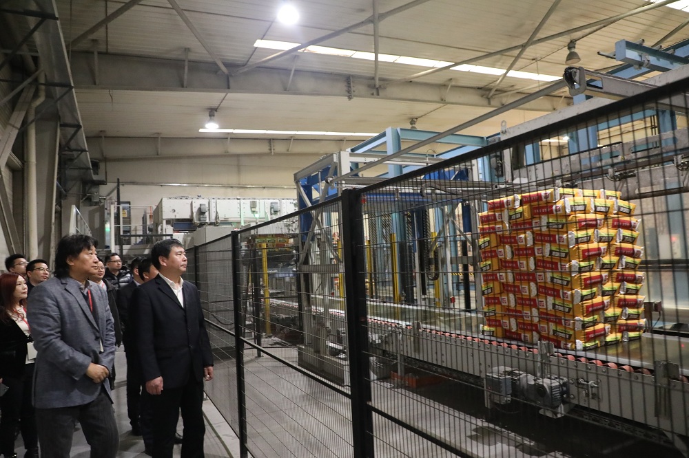 美巢集团股份公司 风能发电领域的绿色先锋