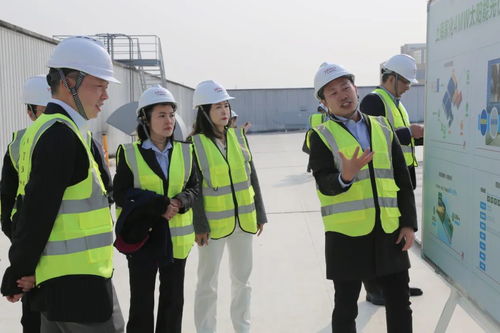 点亮绿色未来 上海家化跨越工厂正式启用太阳能光伏发电